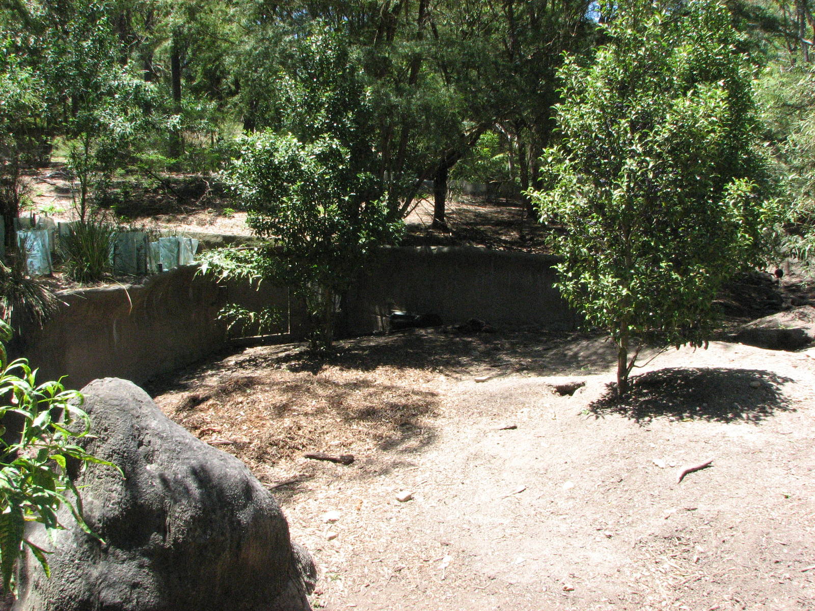 Healesville Sanctuary - Mixed exhibit for Echidna and Wombat?