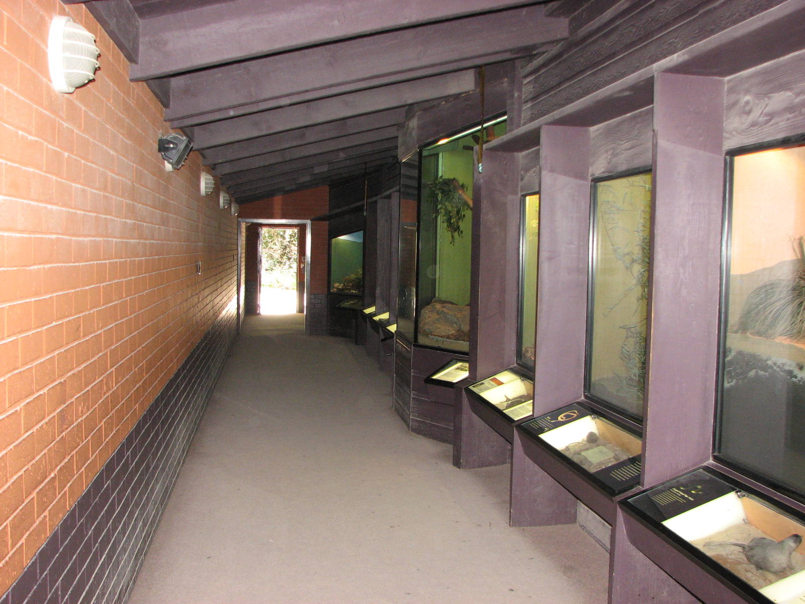 Healesville Sanctuary - Snake House corridor