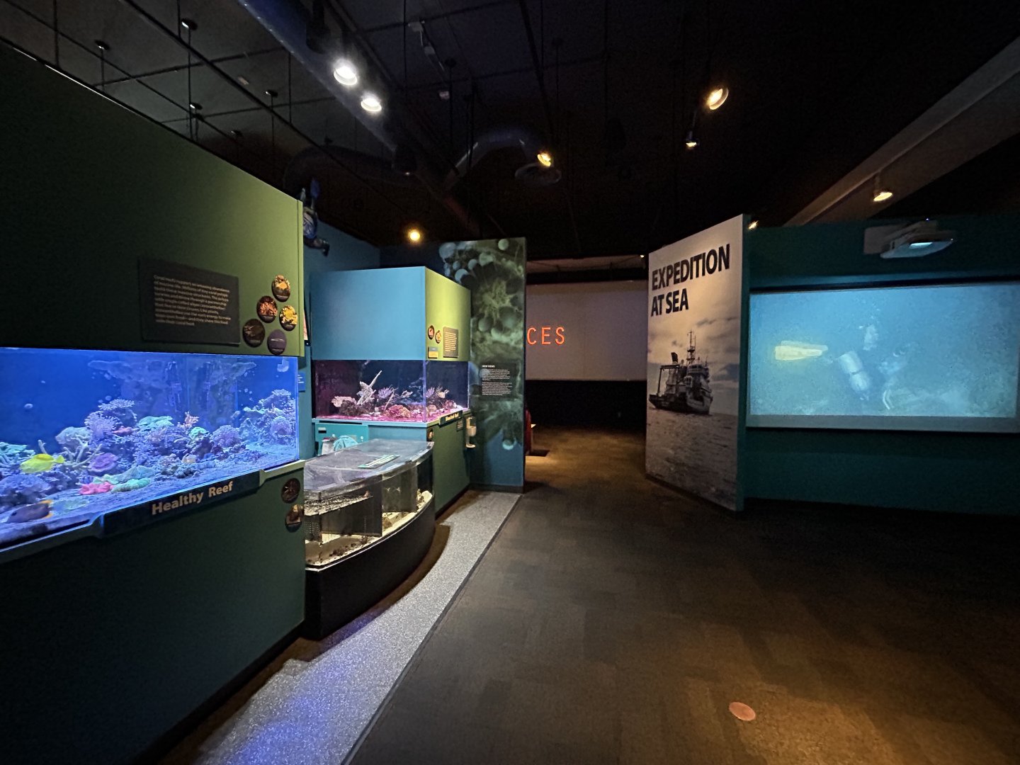 Healthy Reef & Bleached Reef Tanks + Touch Area