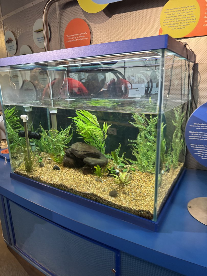 “Healthy Waterway” Exhibit- December 2024