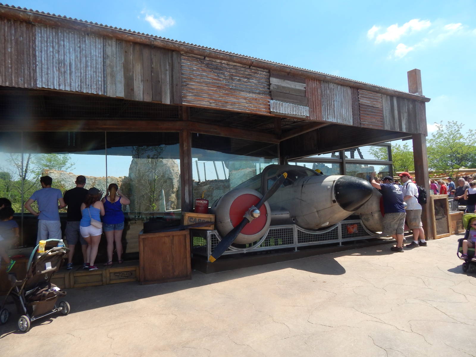 Heart of Africa - African Lion Exhibit - Plane Viewing