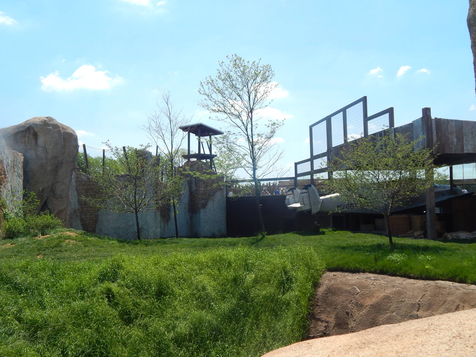 Heart of Africa - African Lion Exhibit - Right Side