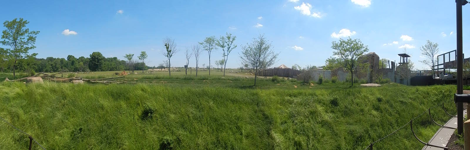 Heart of Africa - African Lion + Savanna Exhibits - Panorama