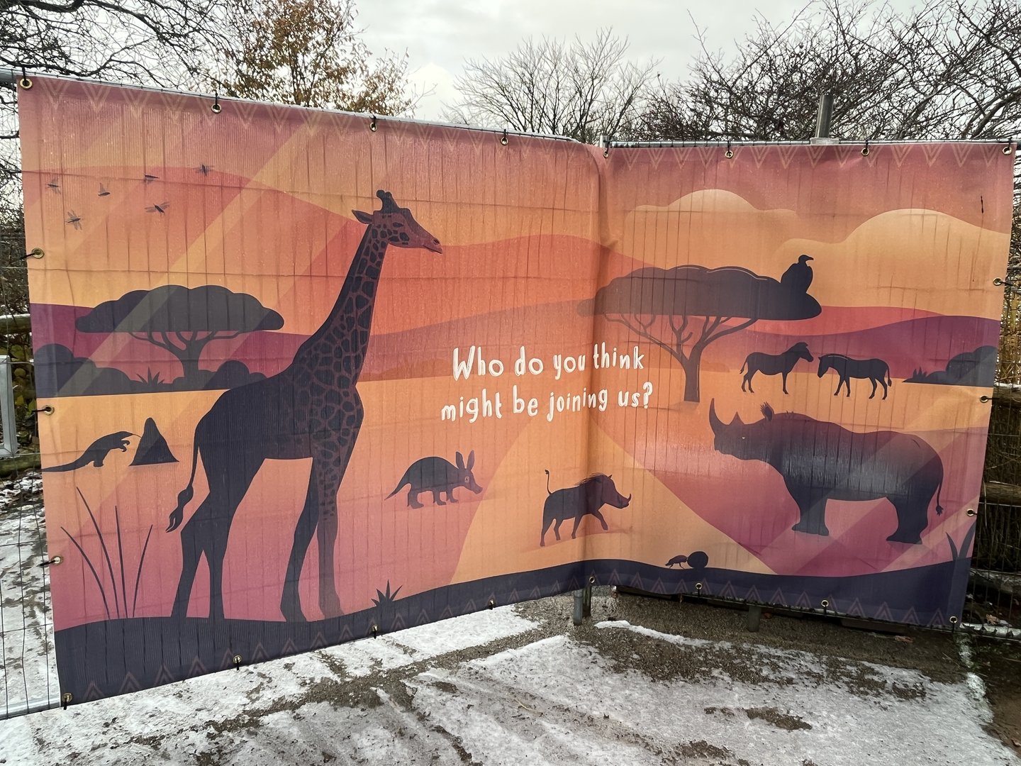 Heart of Africa banner