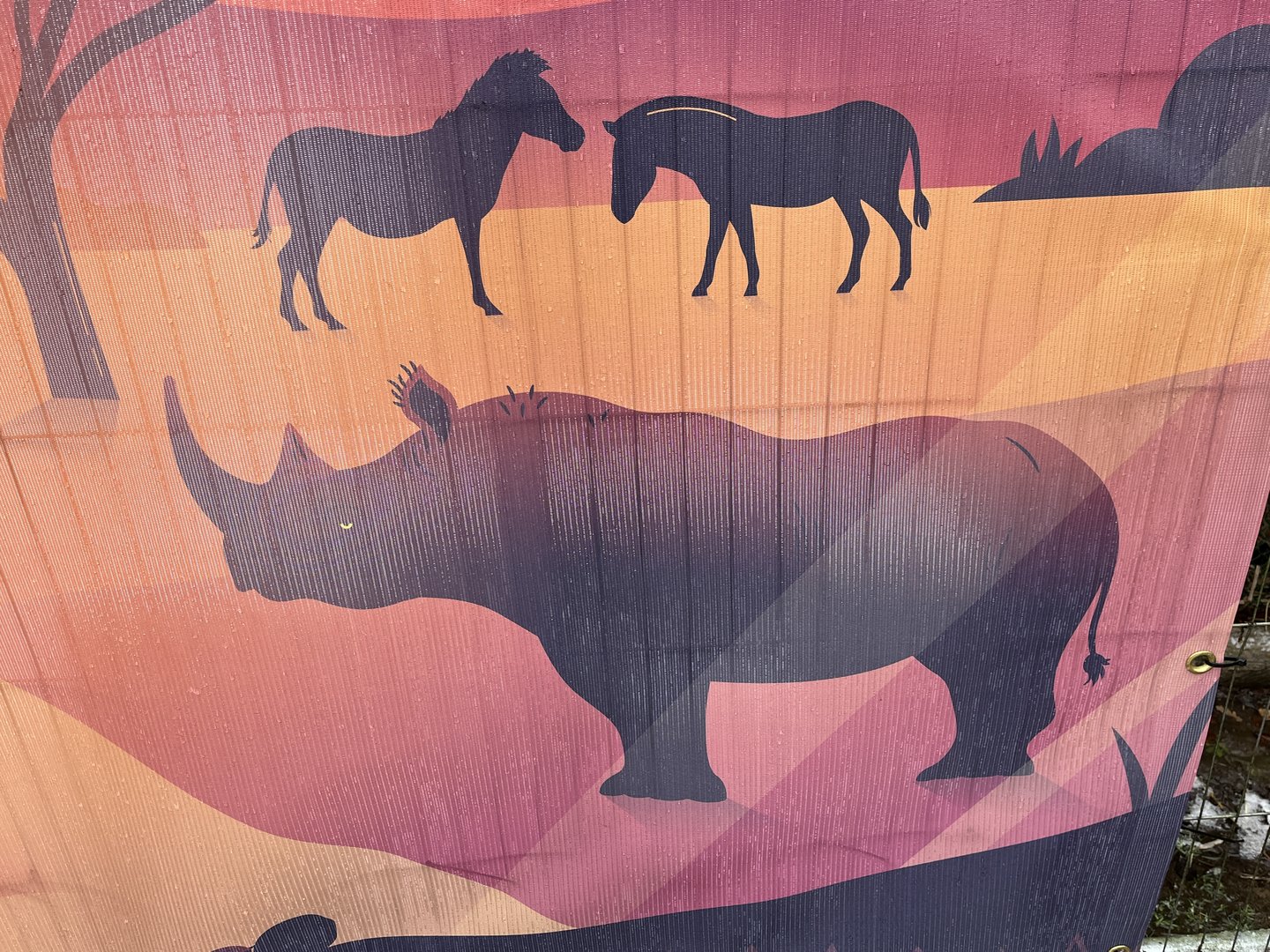 Heart of Africa banner