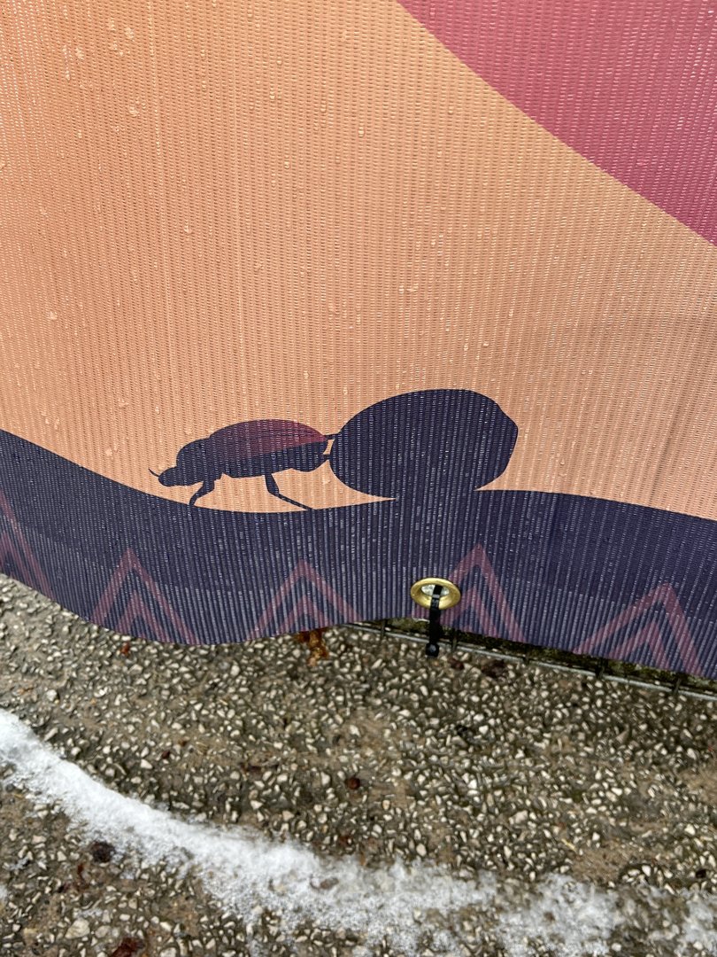 Heart of Africa banner