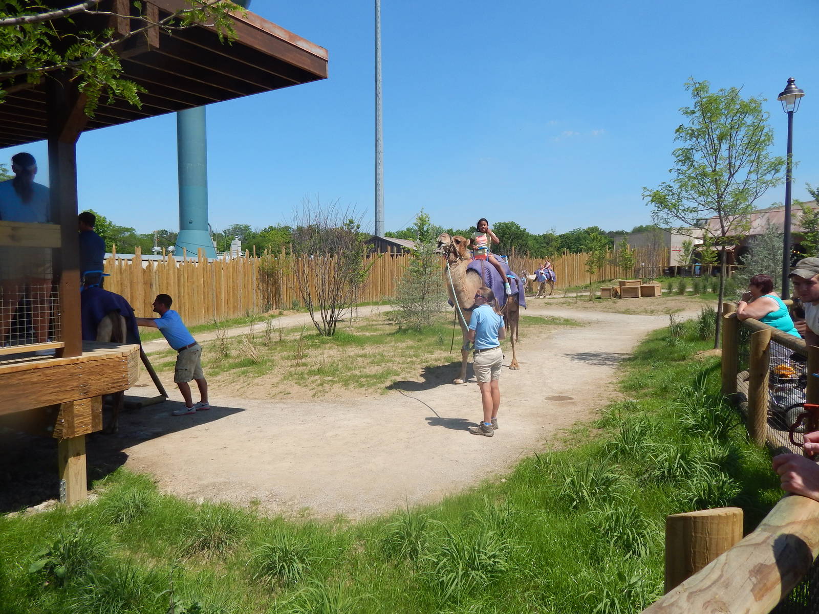 Heart of Africa - Camel Ride Exhibit