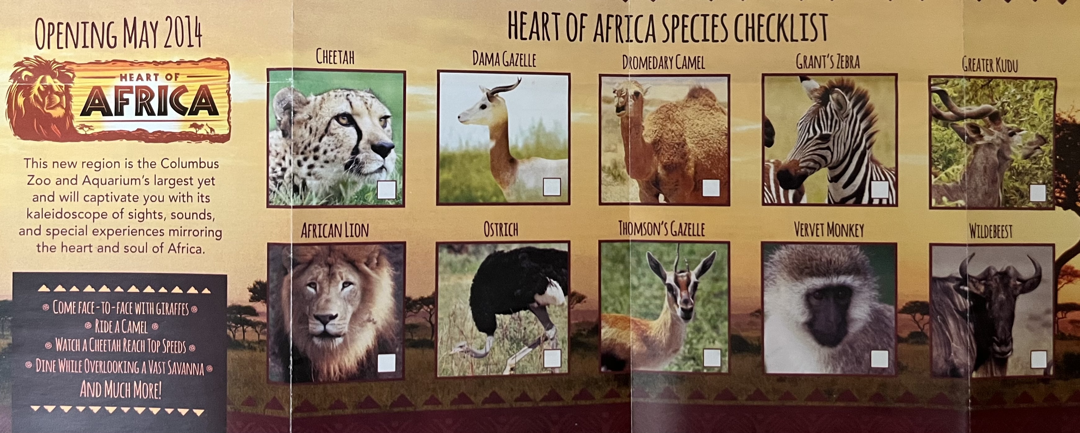 Heart of Africa Checklist - 2014