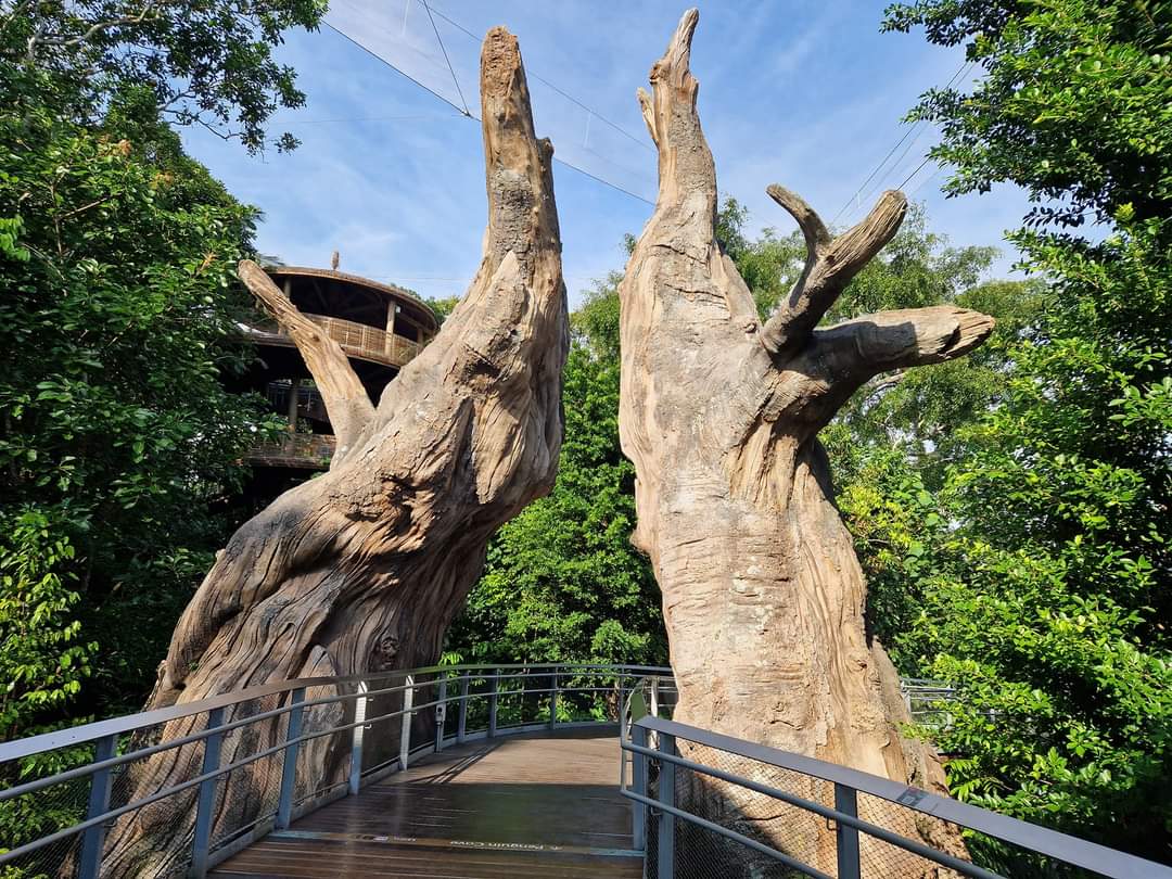 Heart of Africa entrance