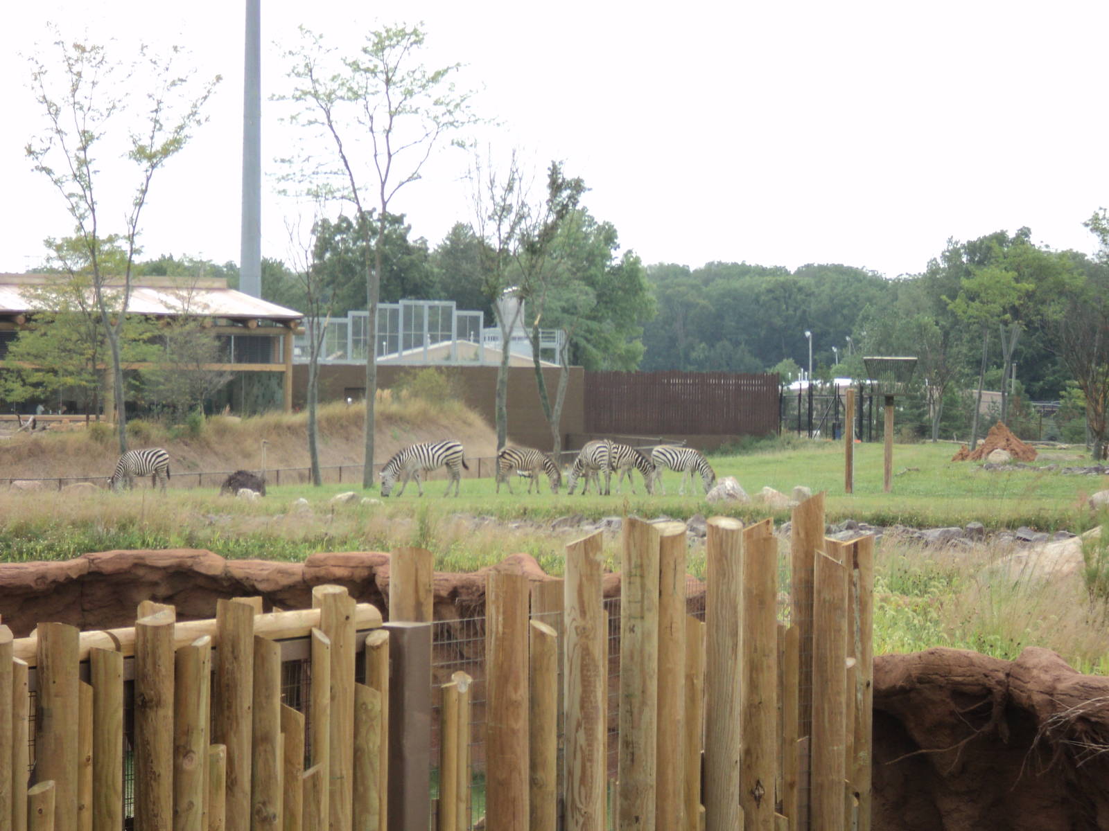 Heart of Africa- From Giraffe Platform Across to Restaurant