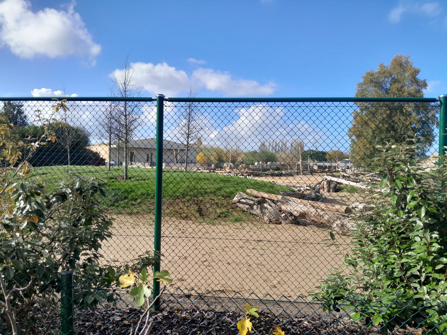 Heart Of Africa giraffe house 07/10/2024