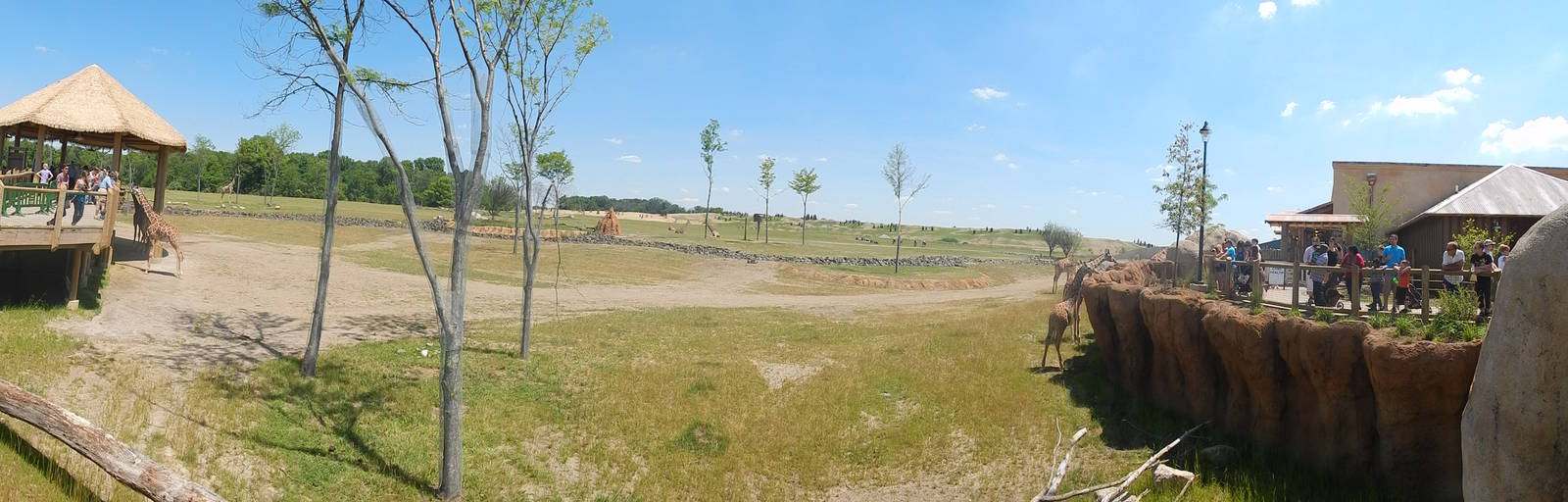 Heart of Africa - Giraffe Shamba Feeding Station