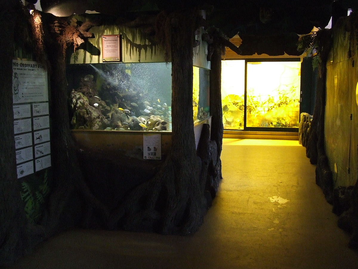 Heart of Africa, interior