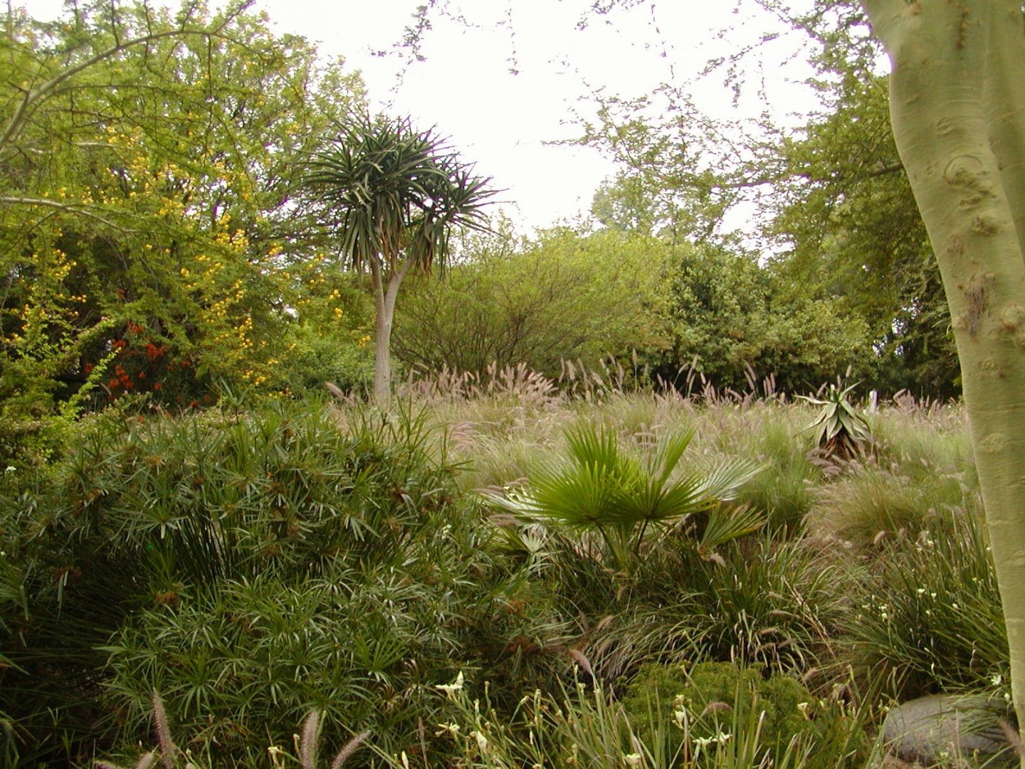 Heart of Africa landscape