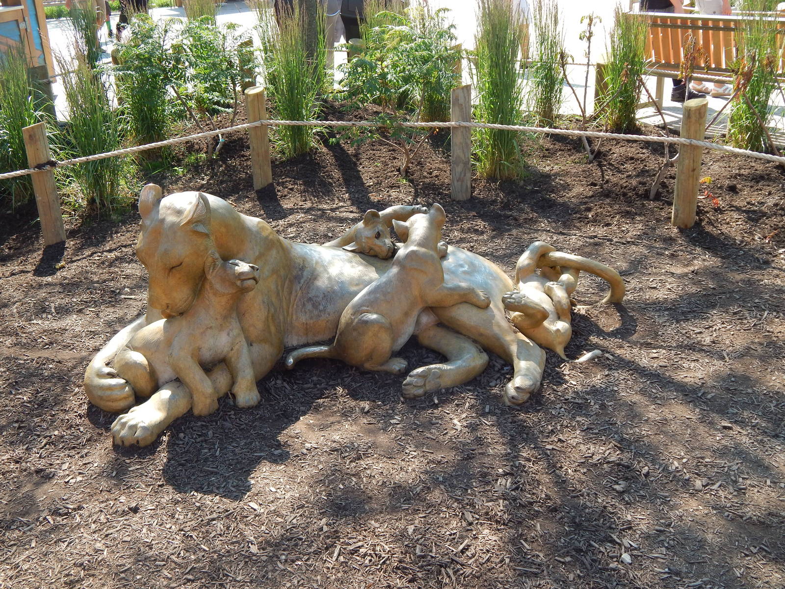 Heart of Africa - Lion Statue - A Very Familiar Looking Statue...