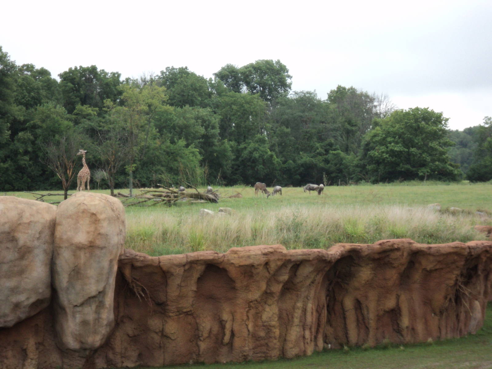 Heart of Africa- Looking Across Watering Hole