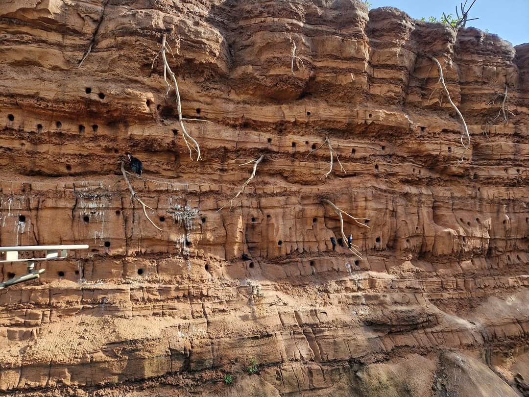 Heart of Africa, Nesting rock