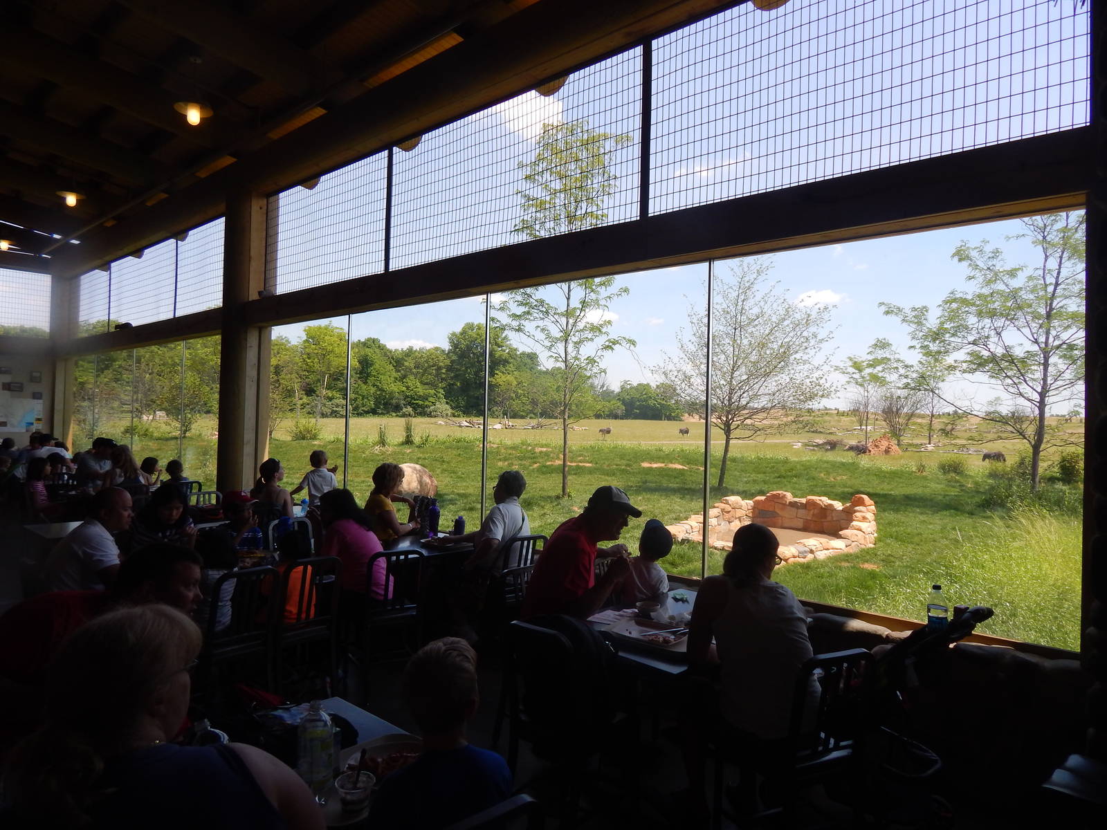 Heart of Africa - Restaurant Viewing of the Lion + Savanna Exhibit