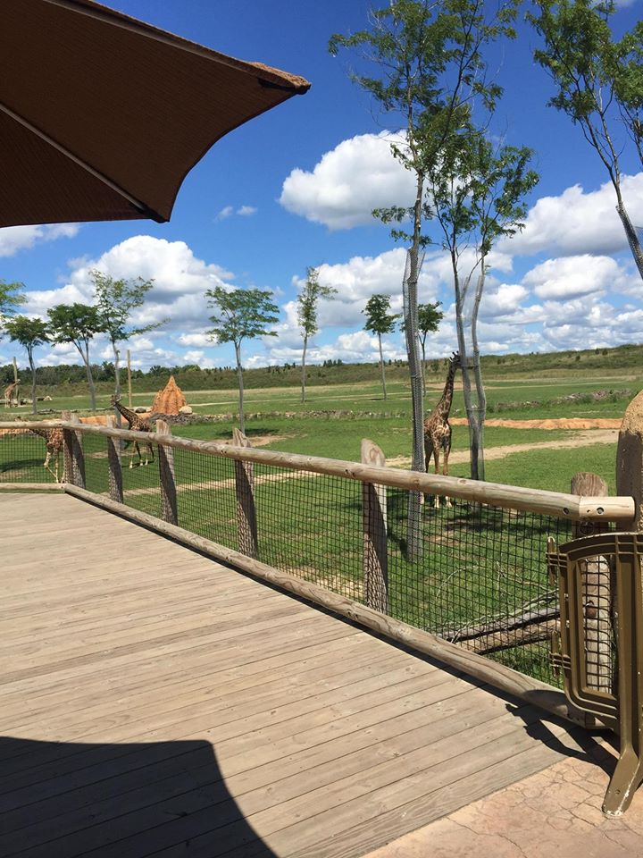 Heart of Africa- Savanna