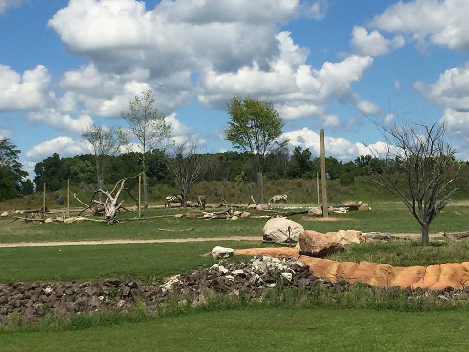 Heart of Africa- Savanna