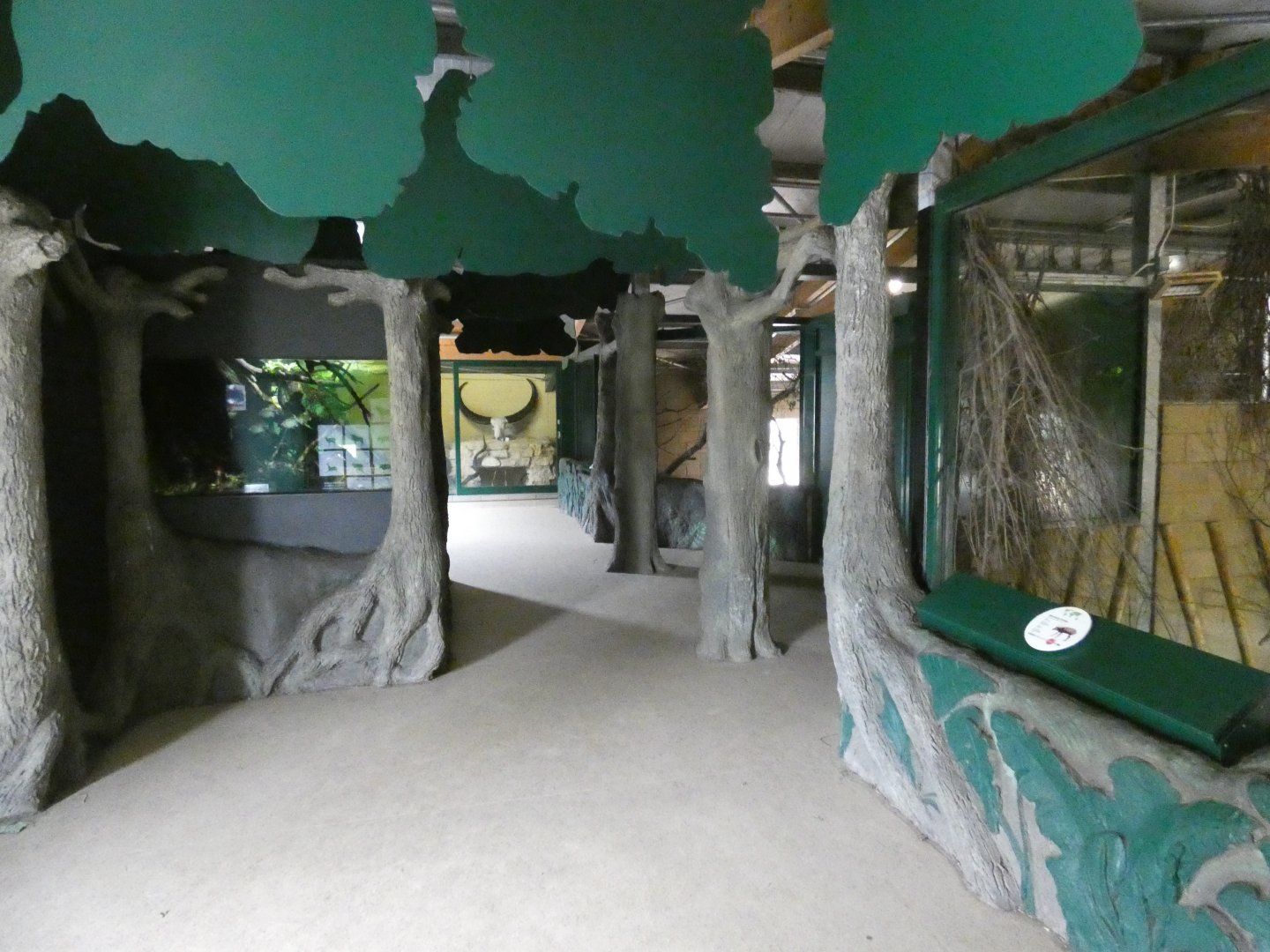 Heart of Africa viewing area