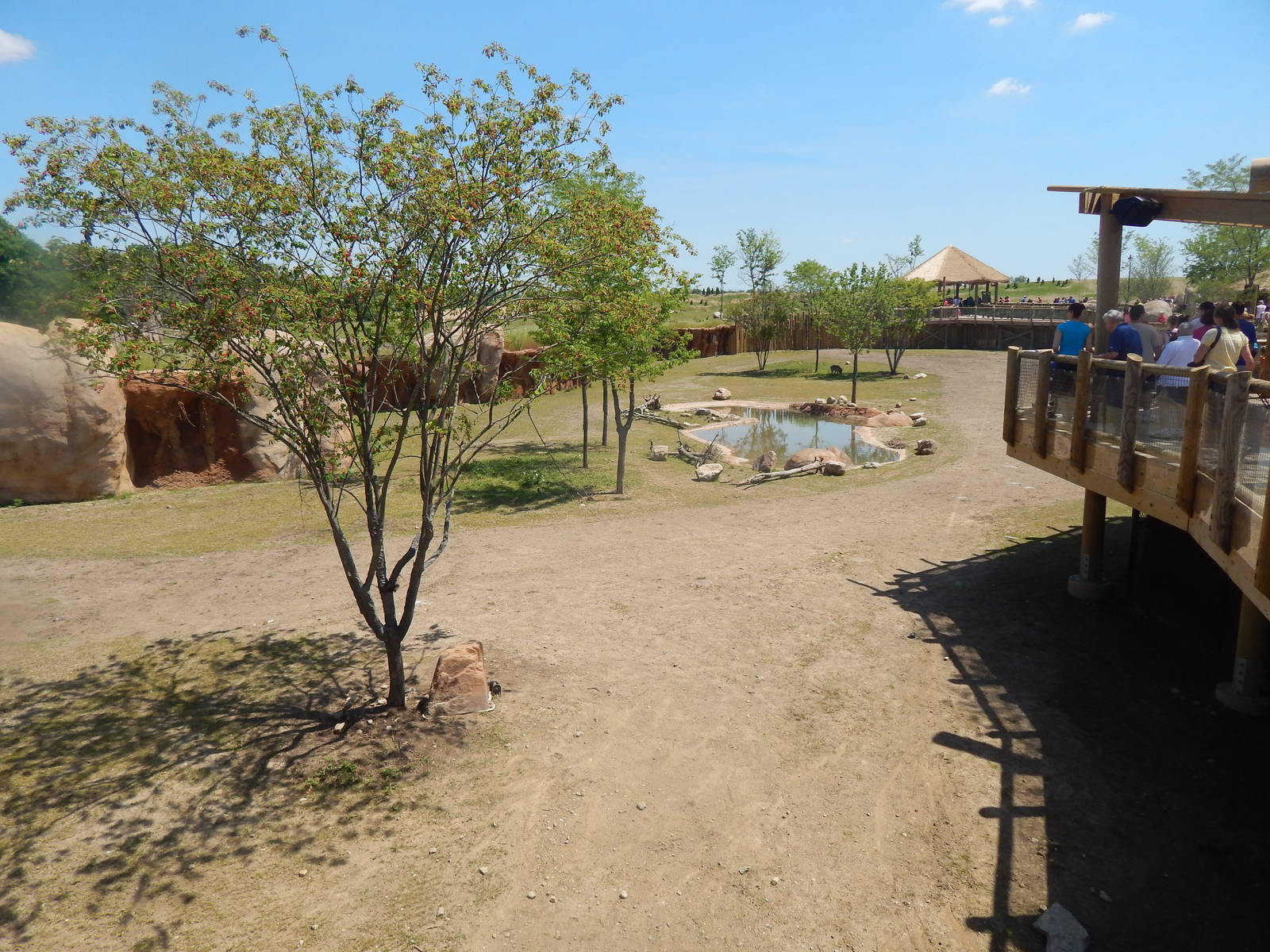 Heart of Africa - Watering Hole Exhibit