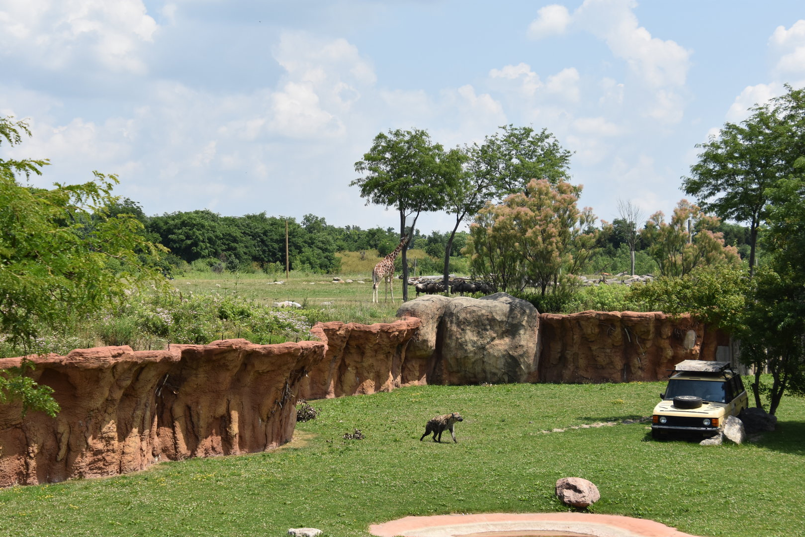 Heart of Africa - Watering Hole exhibit