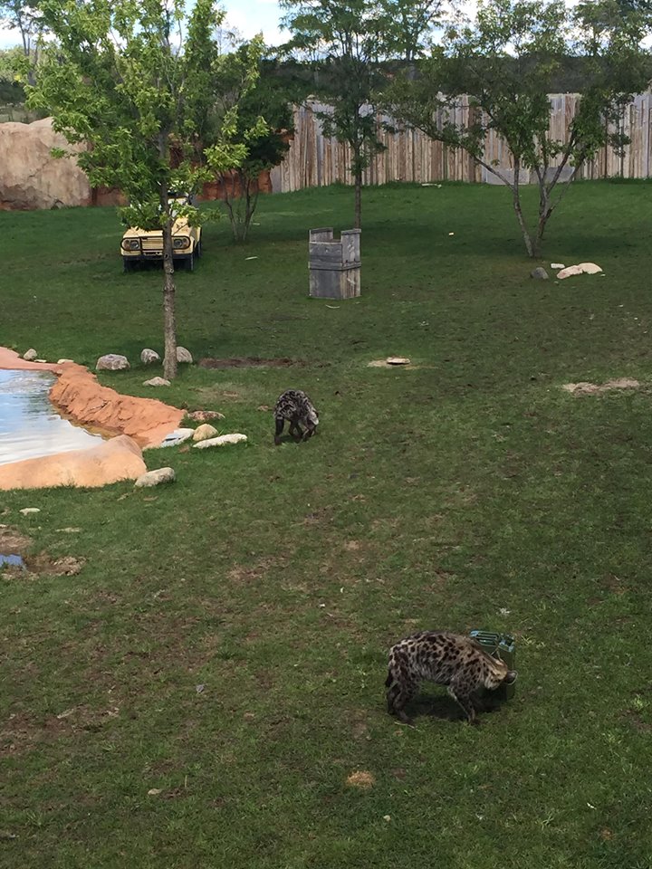 Heart of Africa- Watering Hole