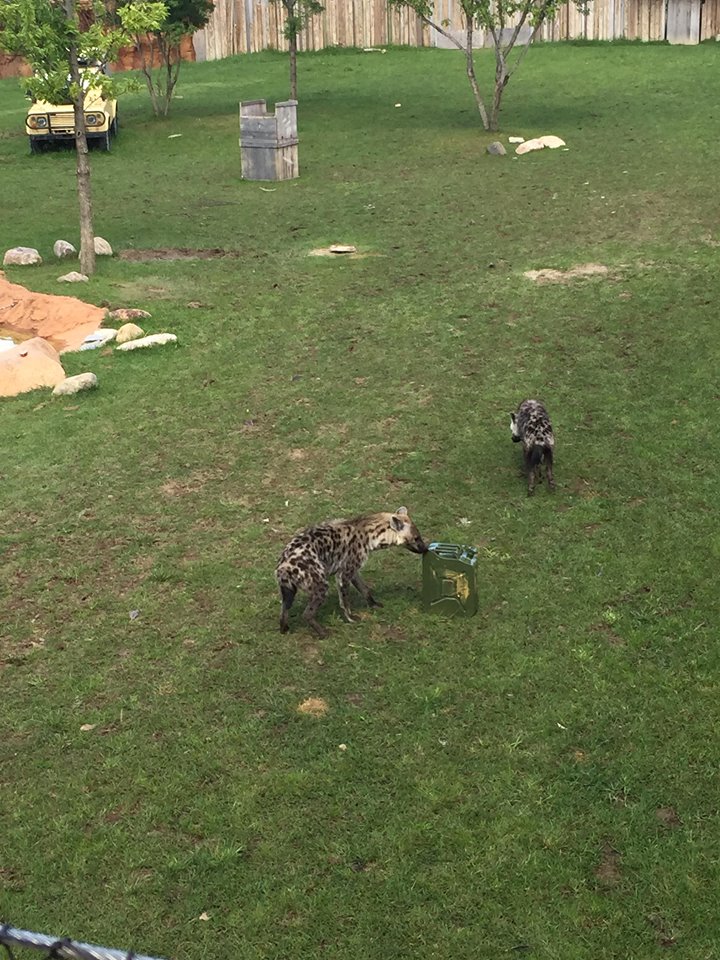 Heart of Africa- Watering Hole