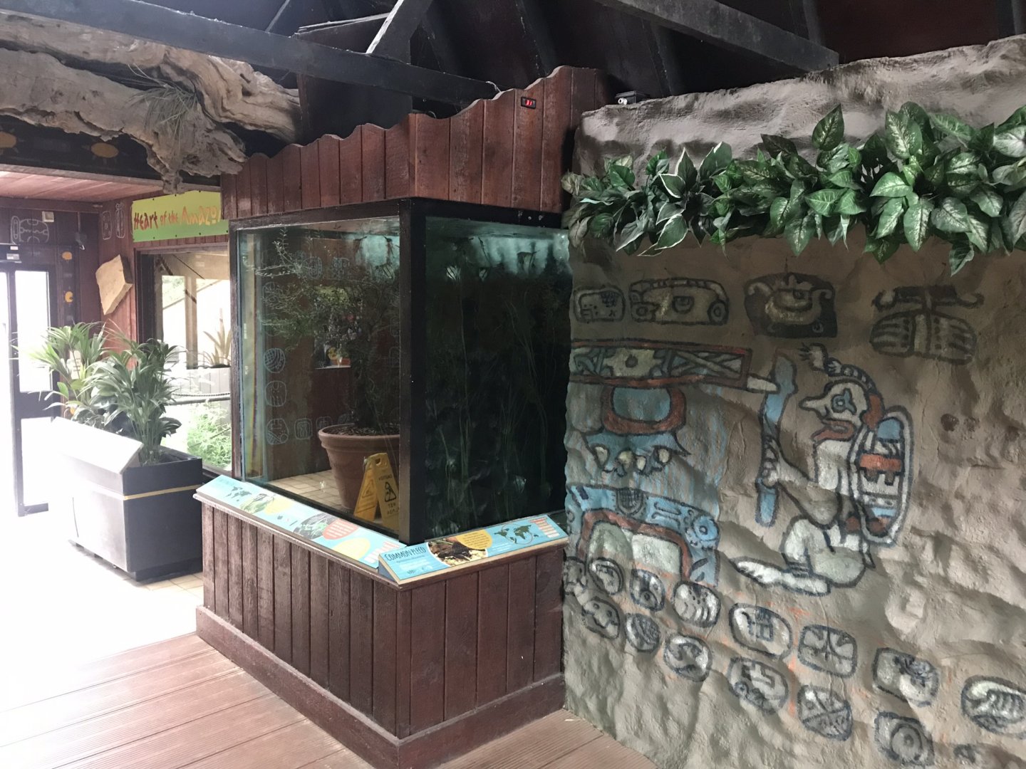 Heart of the Amazon aquarium exhibit example 050819