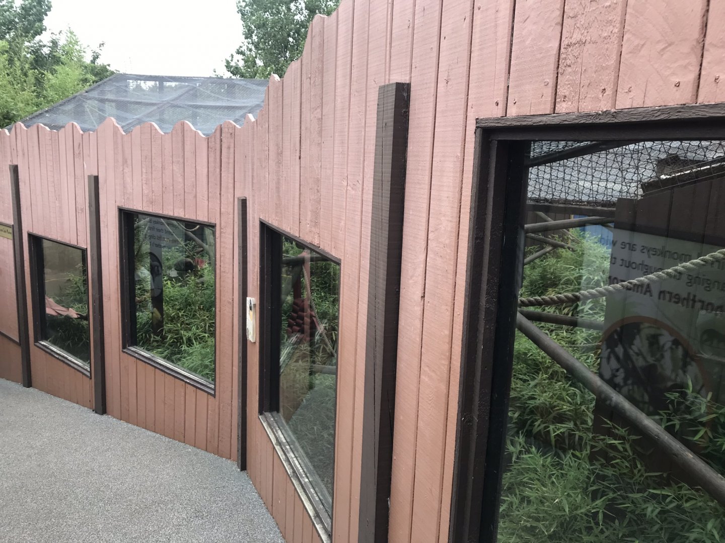 Heart of the Amazon - Black saki exhibit 050819