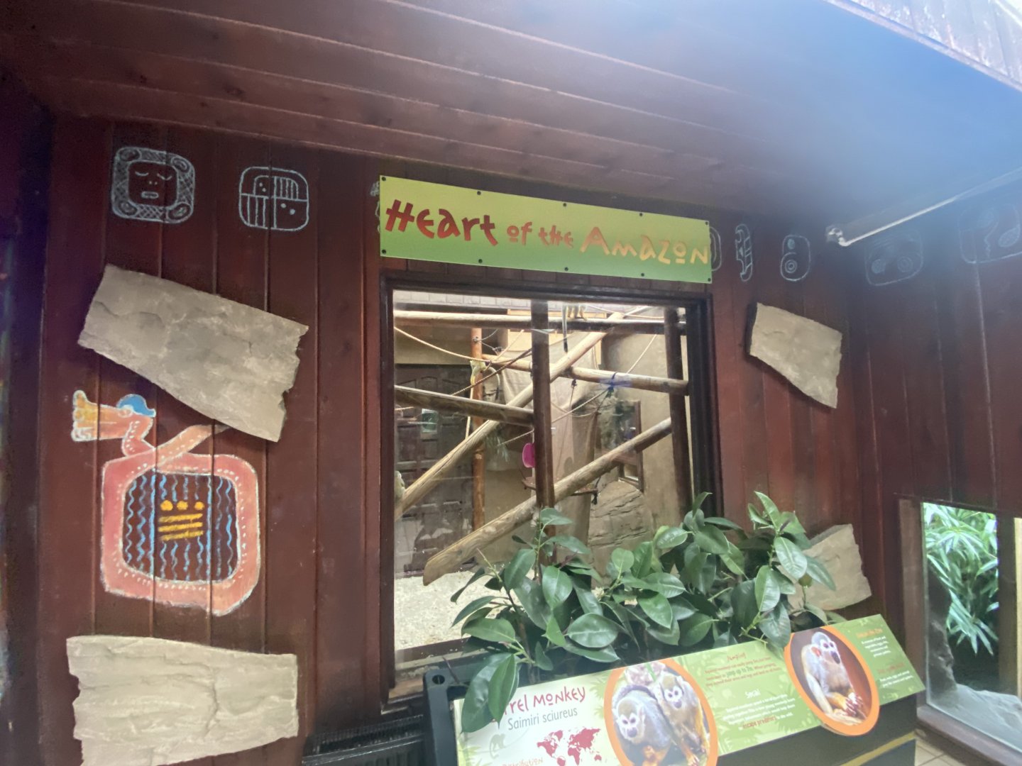 Heart of the Amazon - Squirrel monkey exhibit 140921