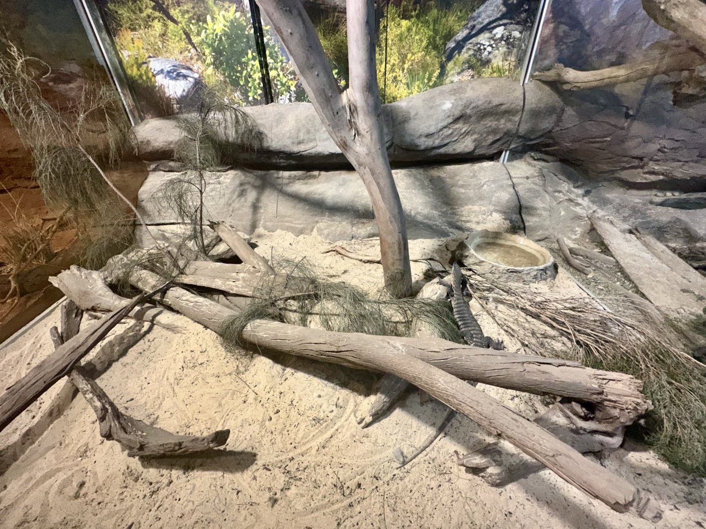 Heath Monitor Exhibit