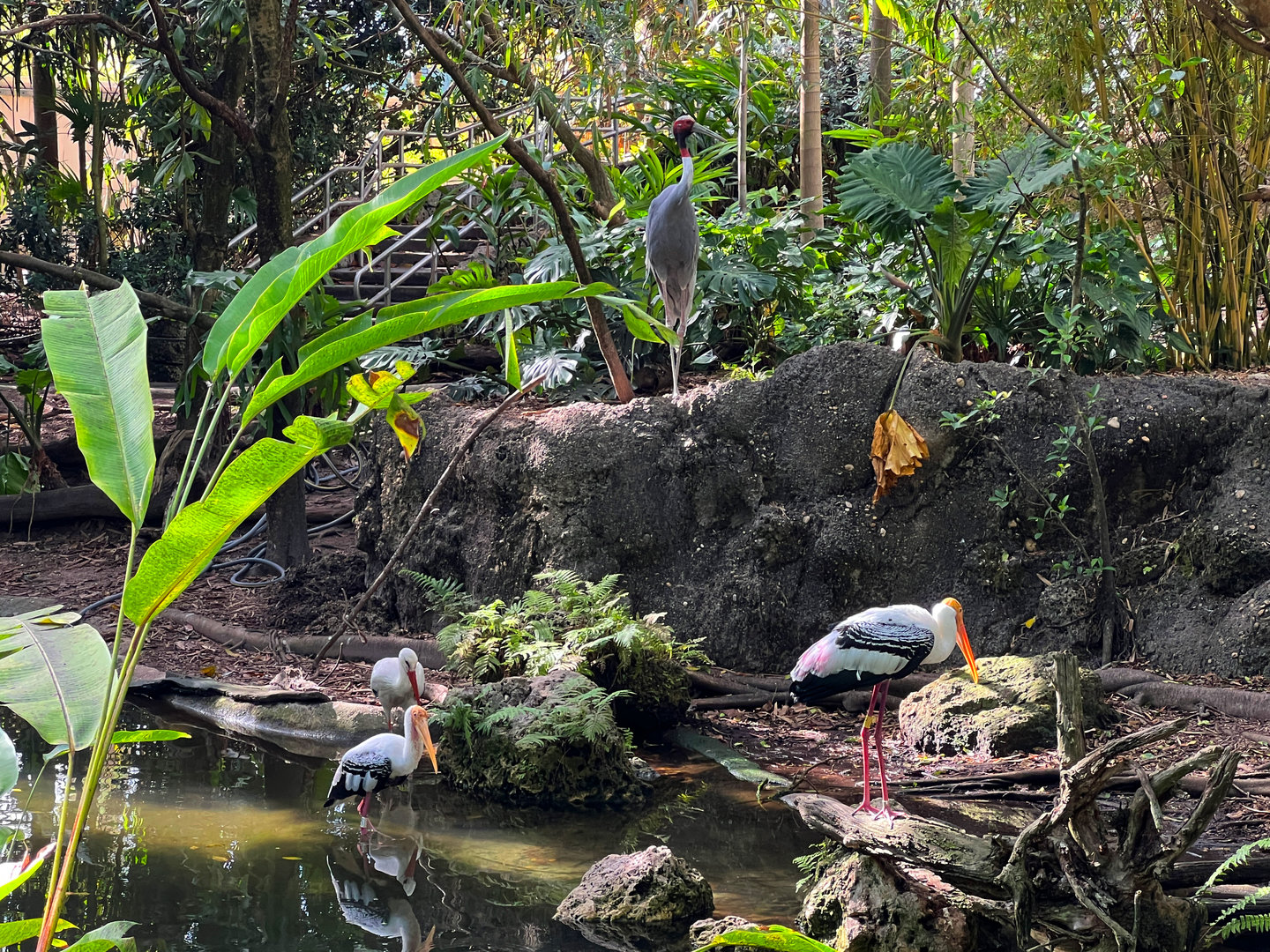 Heathcliffe & The Gang