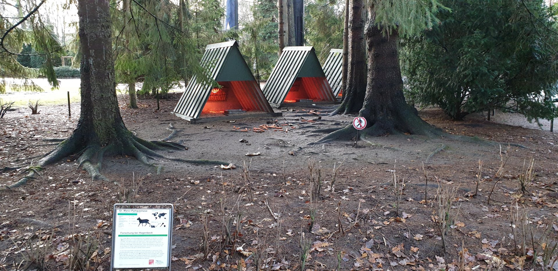 Heathed shelters for free-ranging Mara's