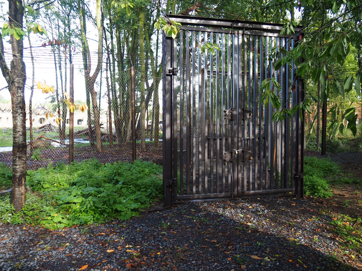Heavy equipment access to the Eurasian brown bear - Eurasian wolf exhibit, 2019-10-04