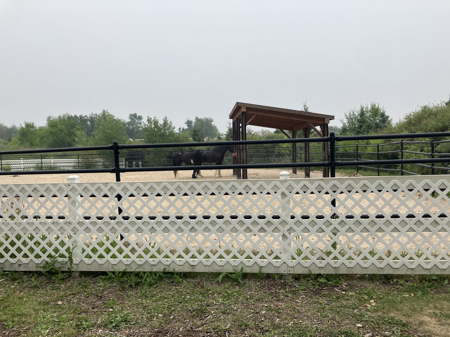 Heavy Horse Center - Domestic Horse Exhibit