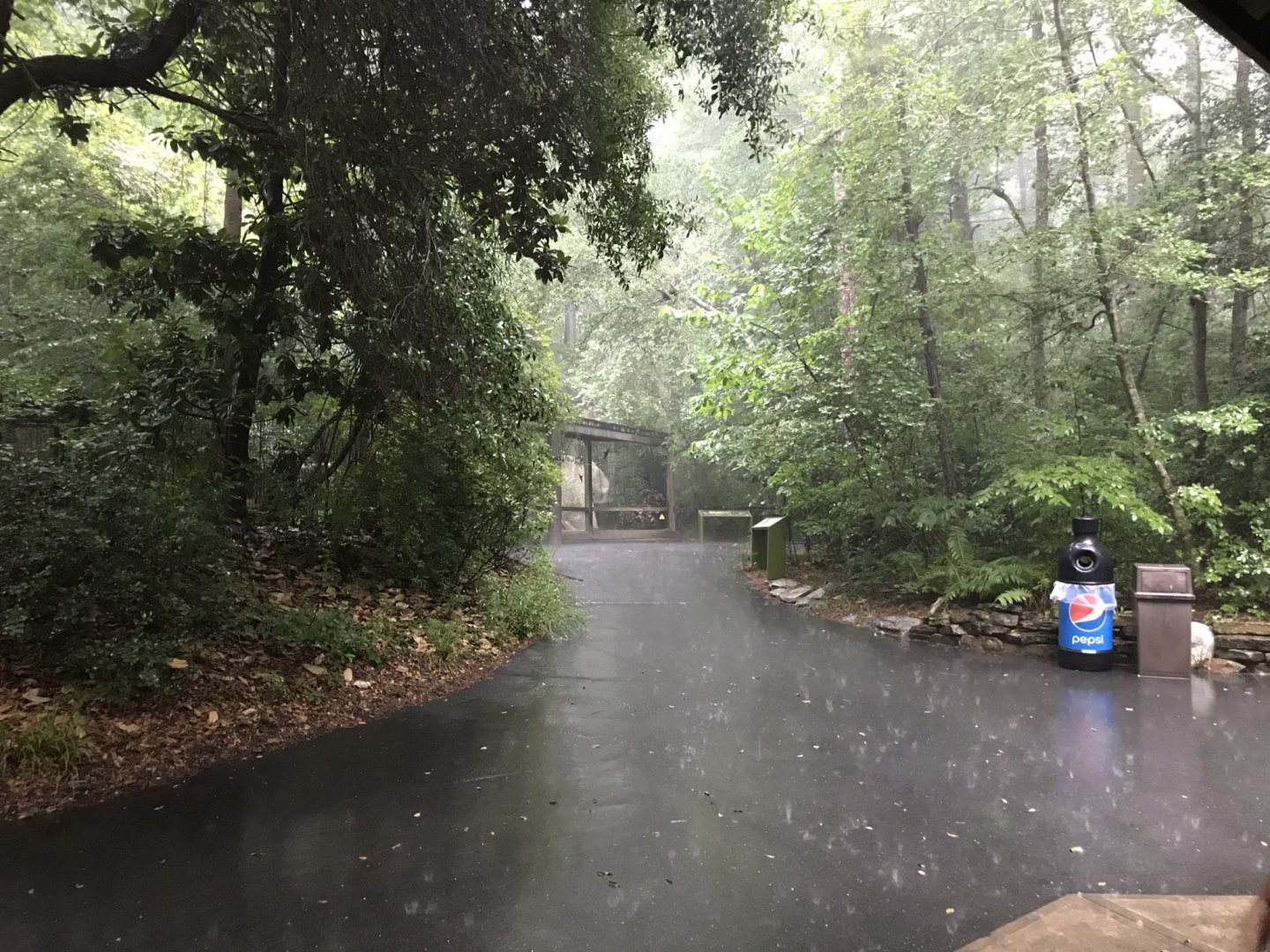 Heavy Rain and Thunder