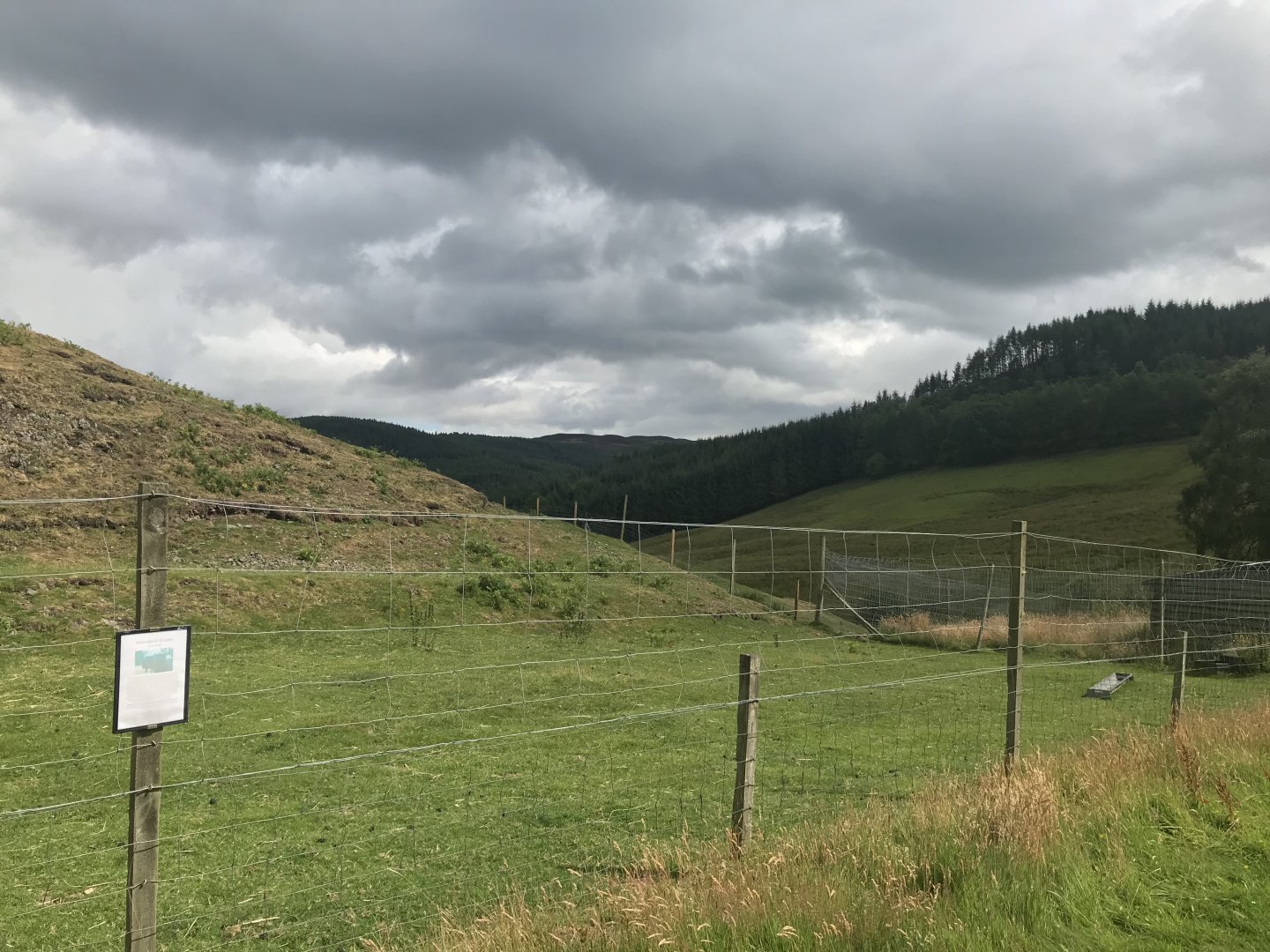 Hebridean sheep enclosure (2)