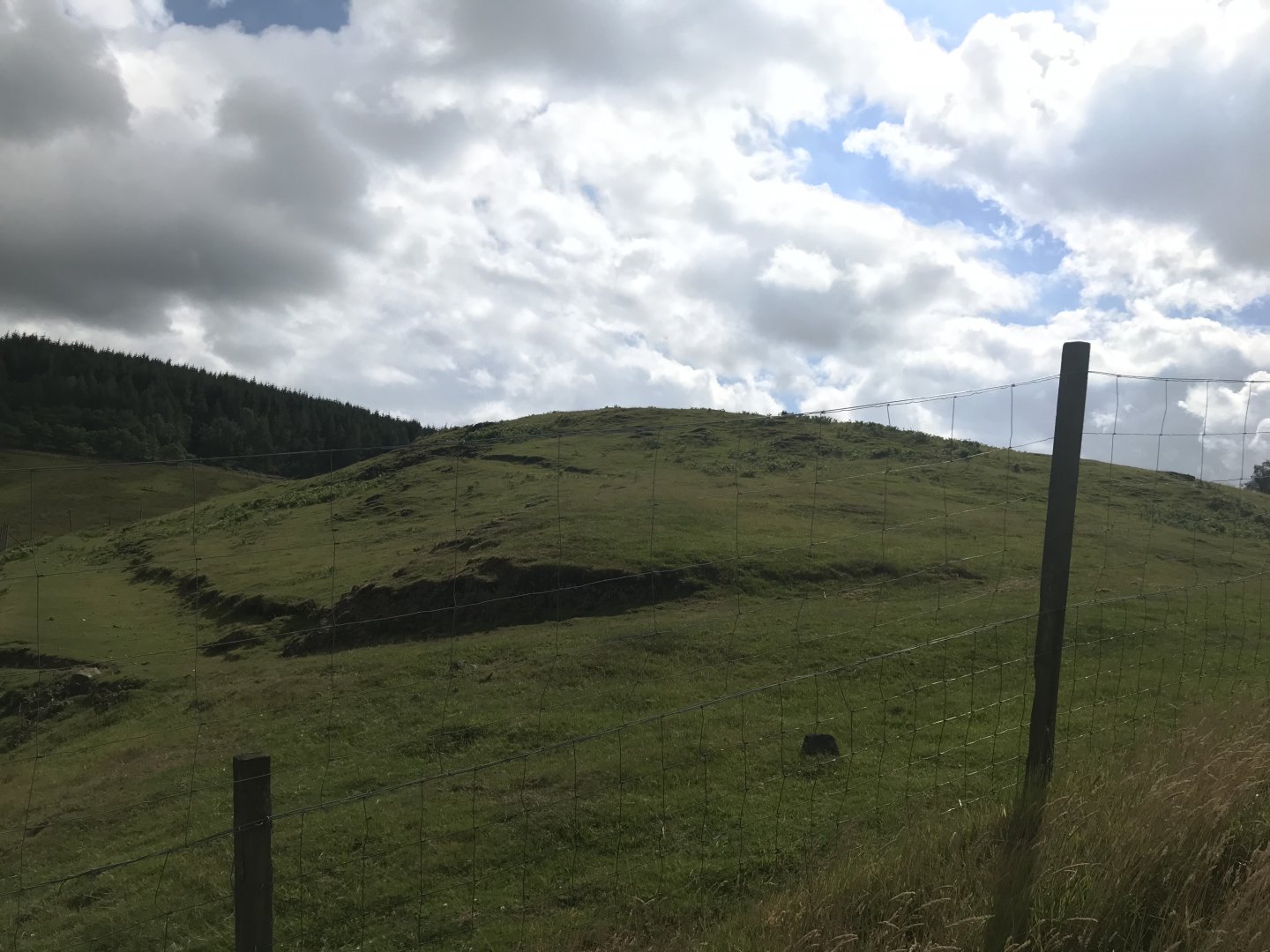 Hebridean sheep enclosure (3)
