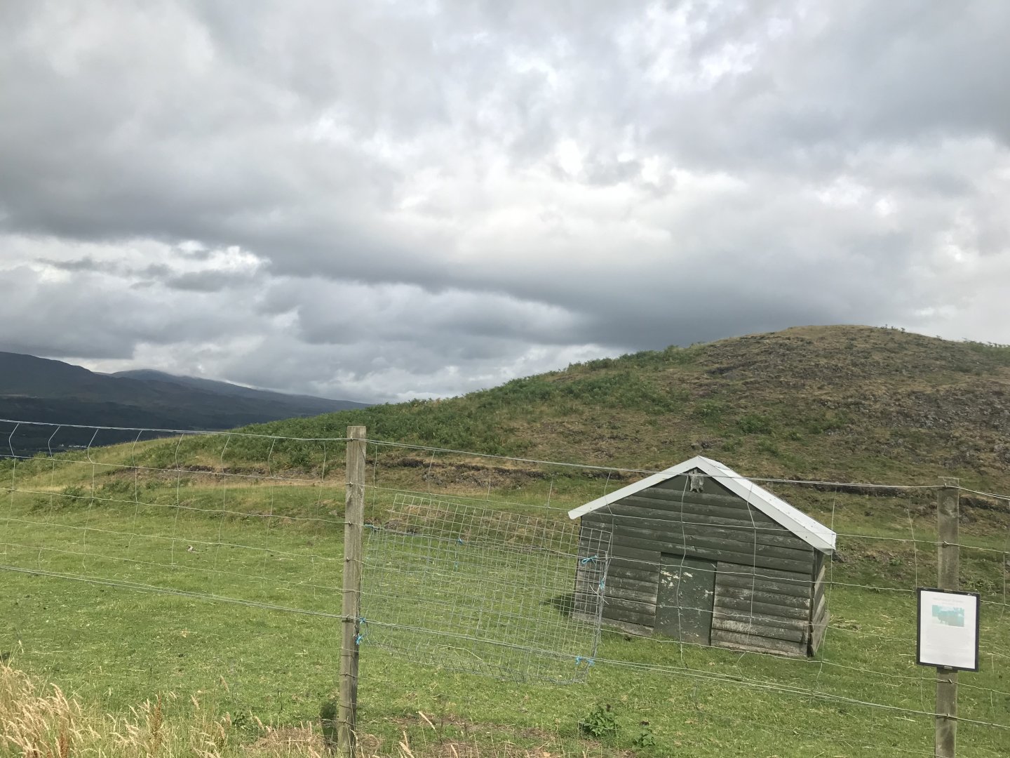 Hebridean sheep enclosure