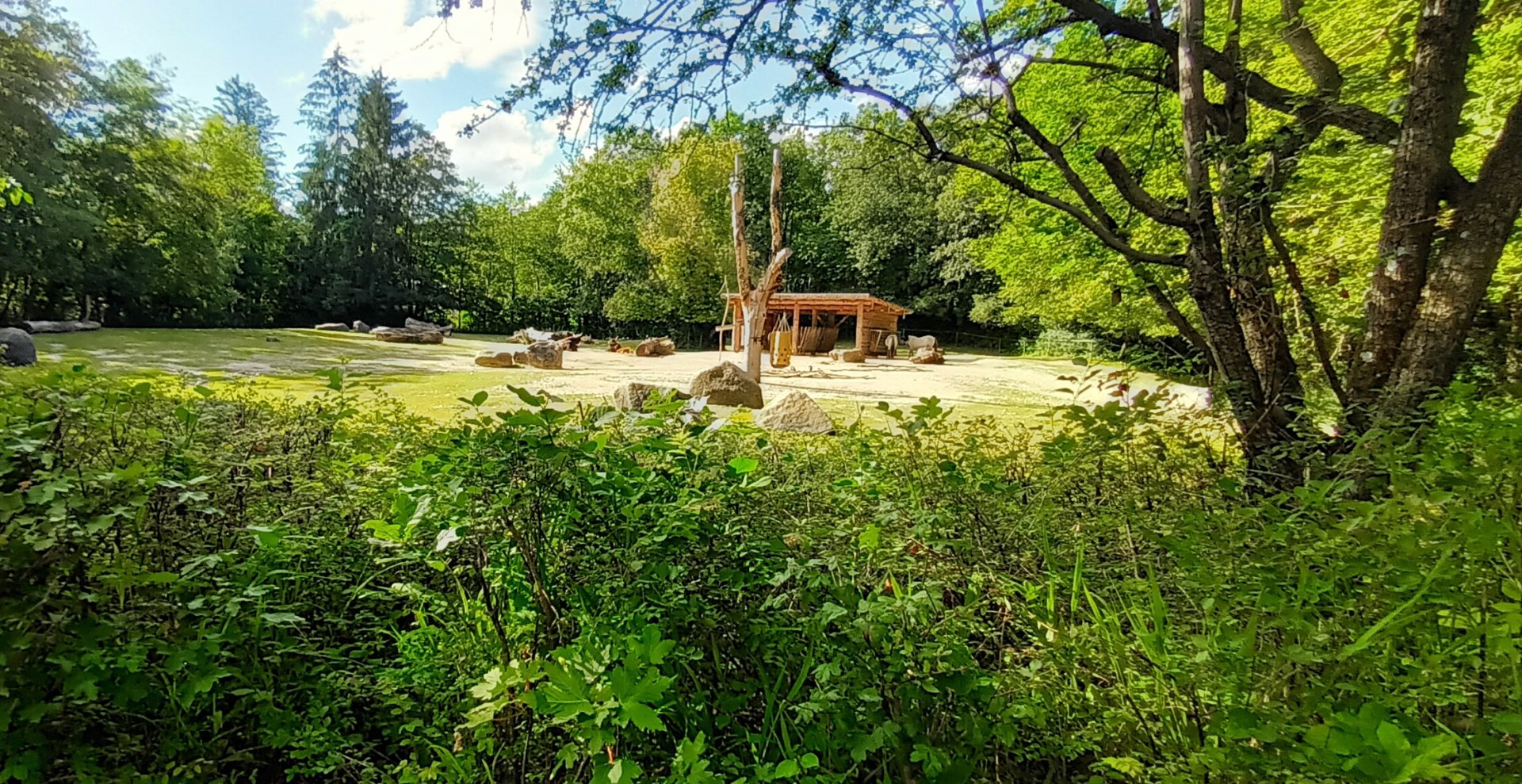 Heck Horse and Heck Cattle Enclosure