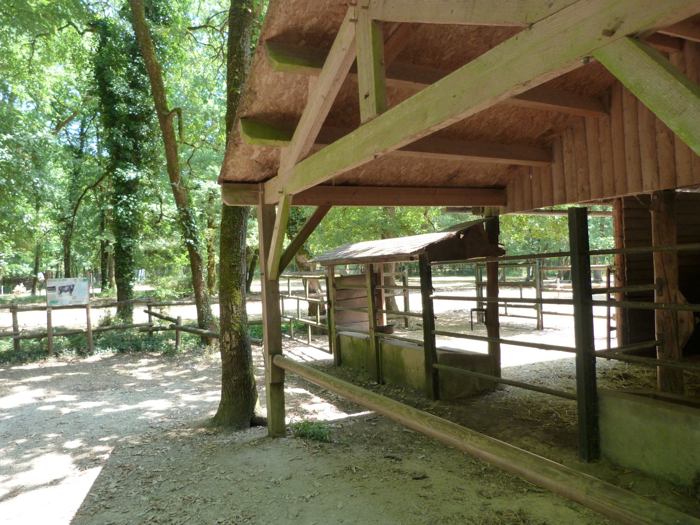 Heck's cattle stable -Zoodyssée (2025)