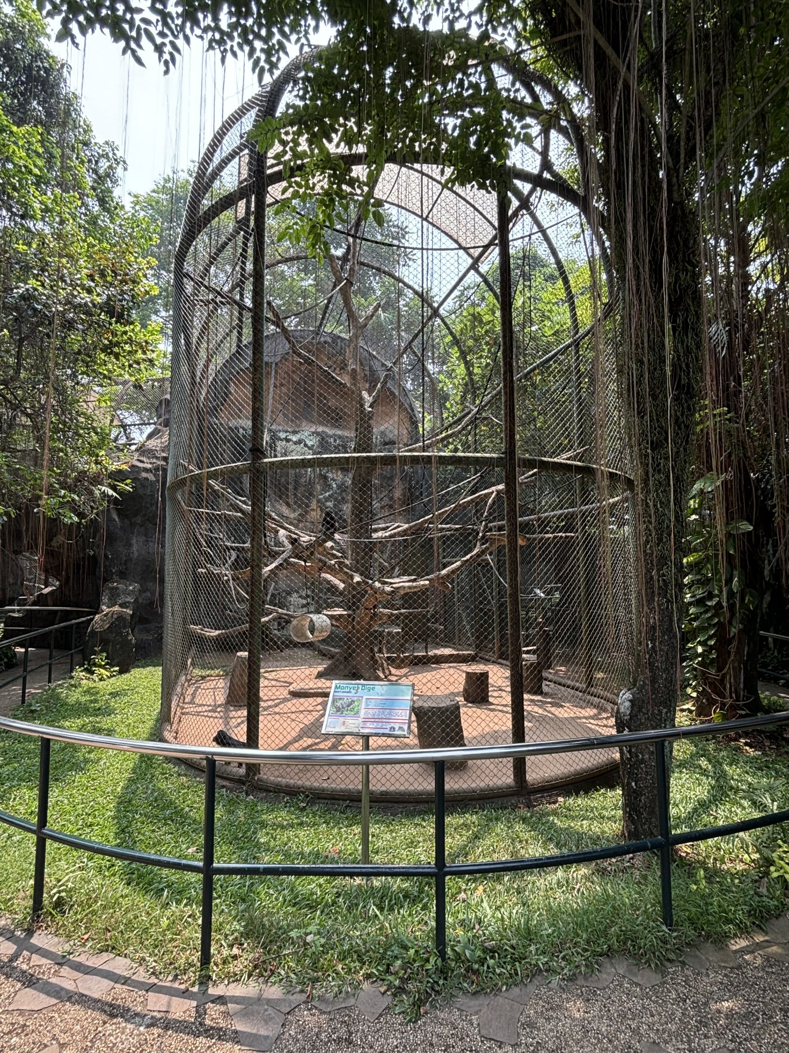 Heck’s Macaque Exhibit #4