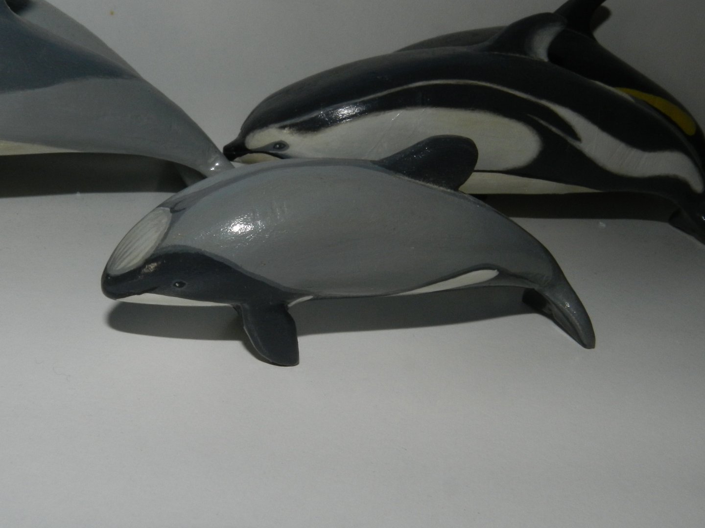 Hector´s Dolphin on wood