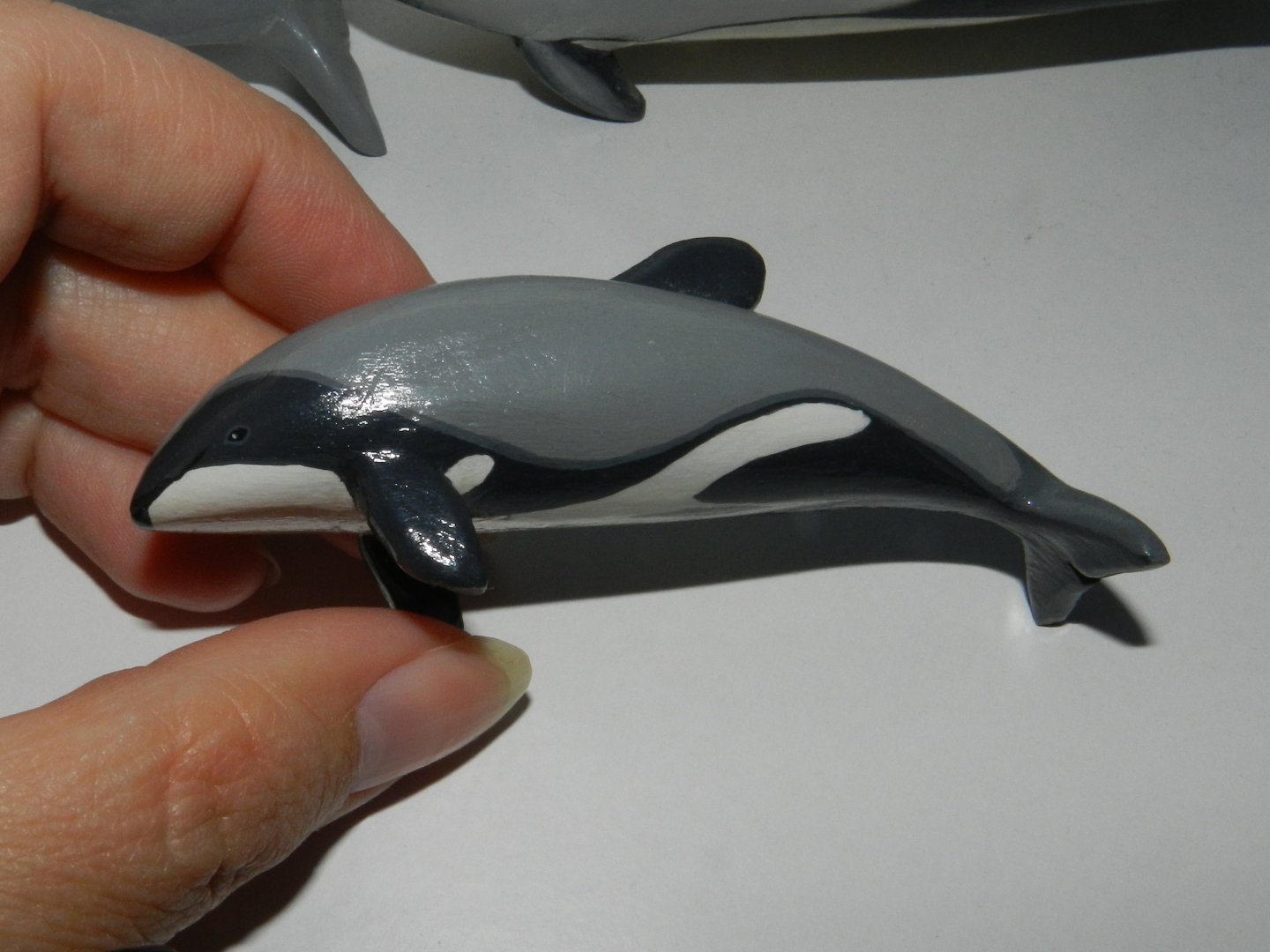 Hector´s Dolphin on wood