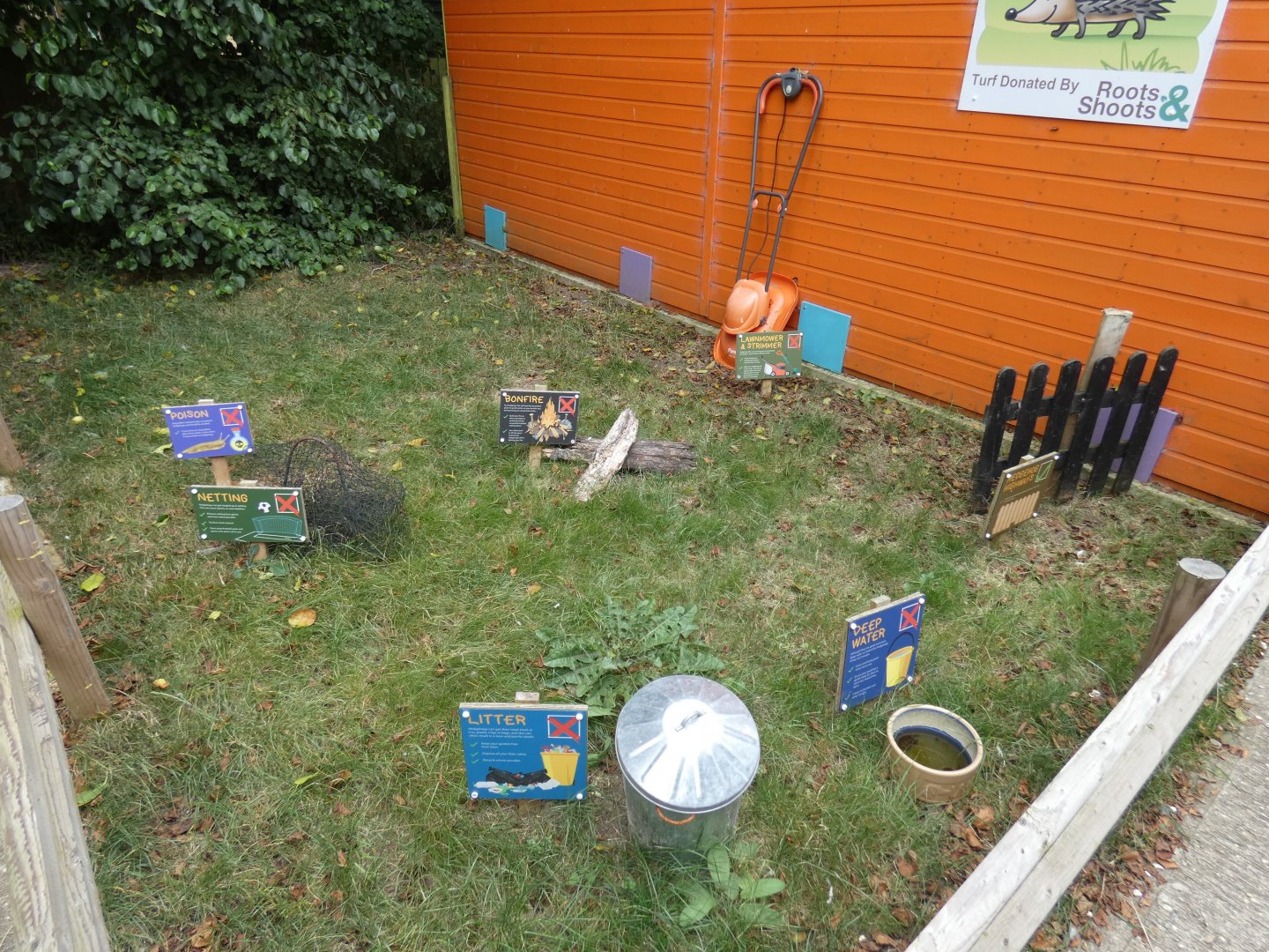 Hedgehog conservation display (Suffolk Owl Sanctuary)