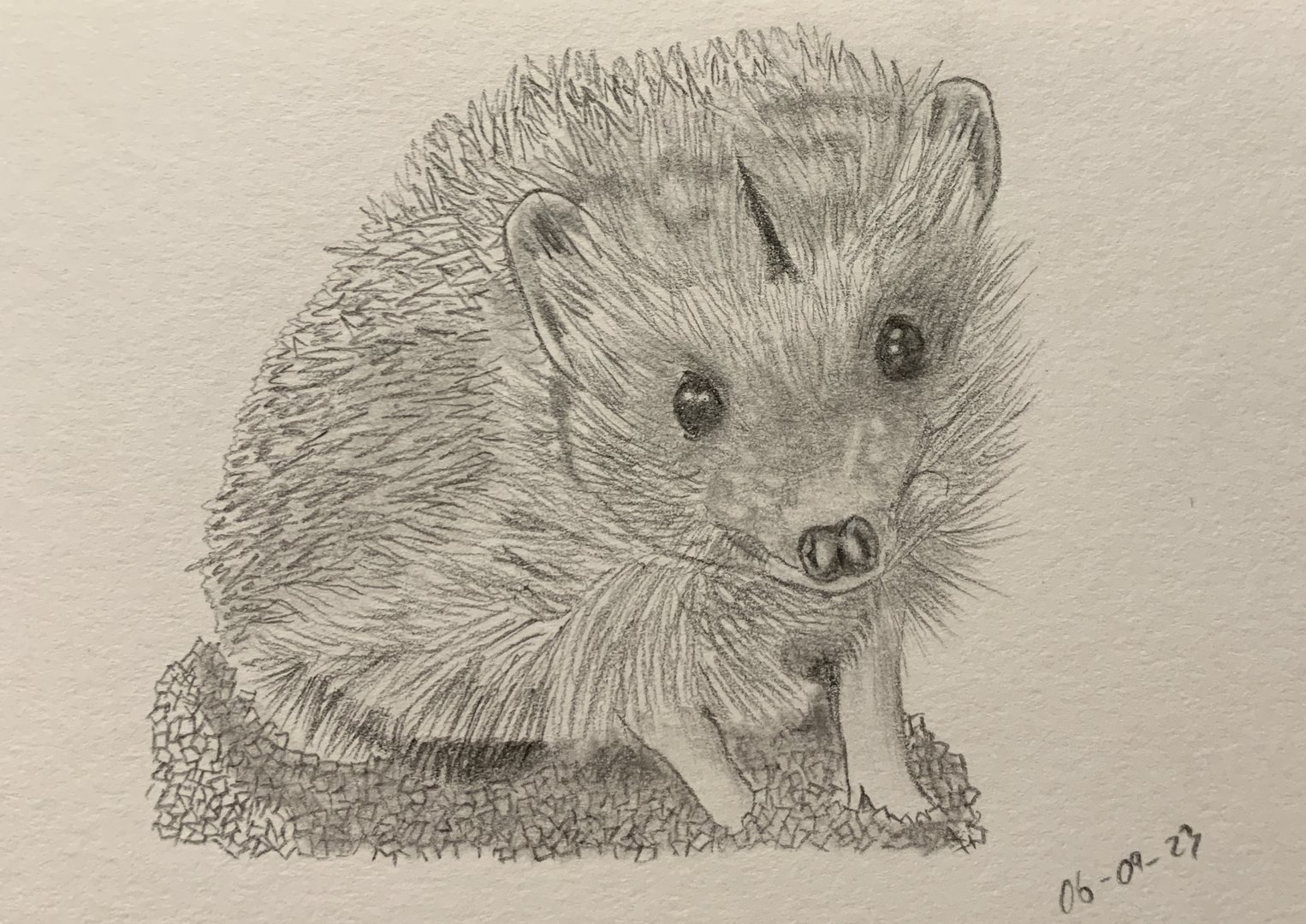 Hedgehog Drawing