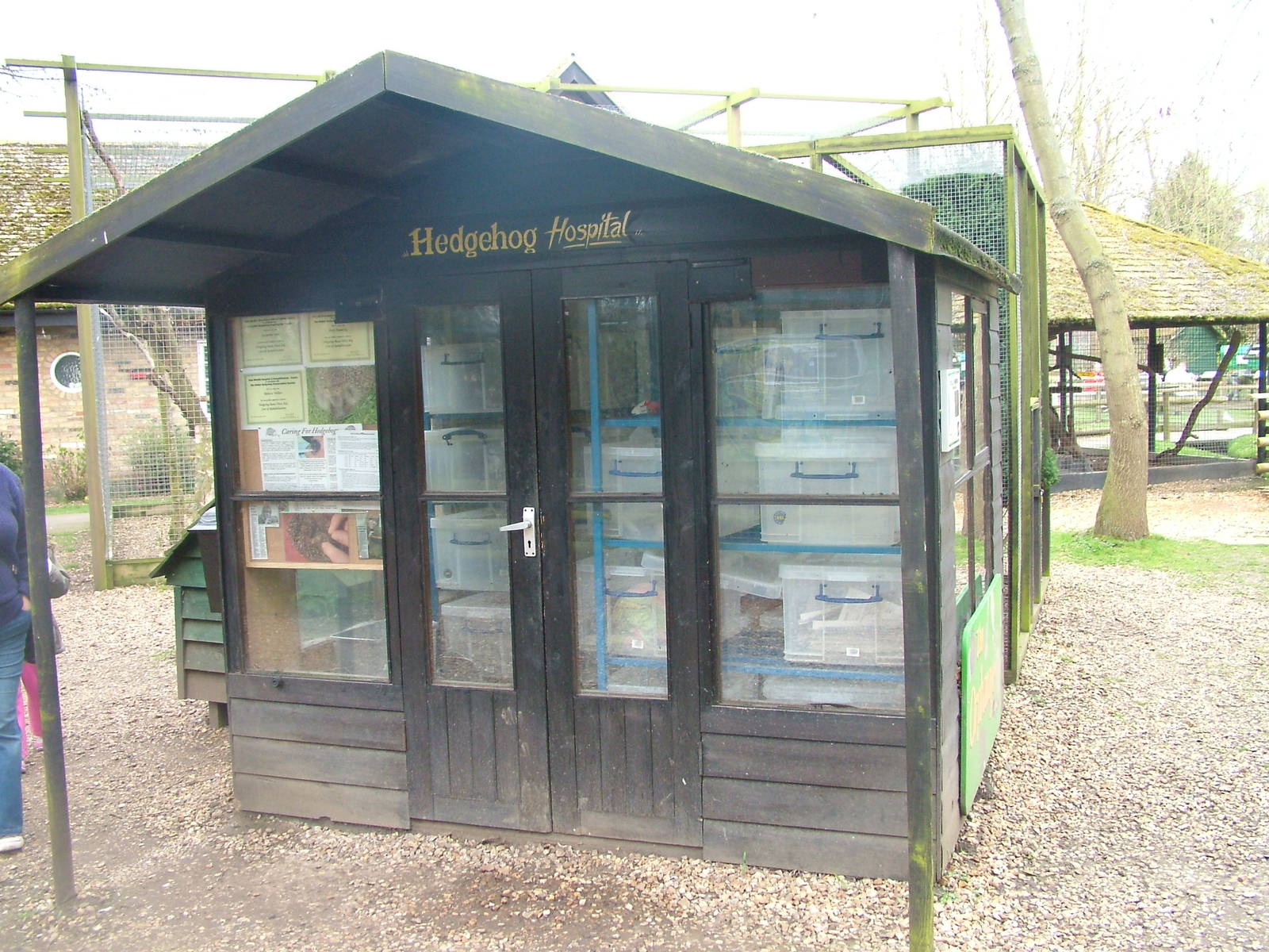 Hedgehog Hospital at Shepreth 05/04/10