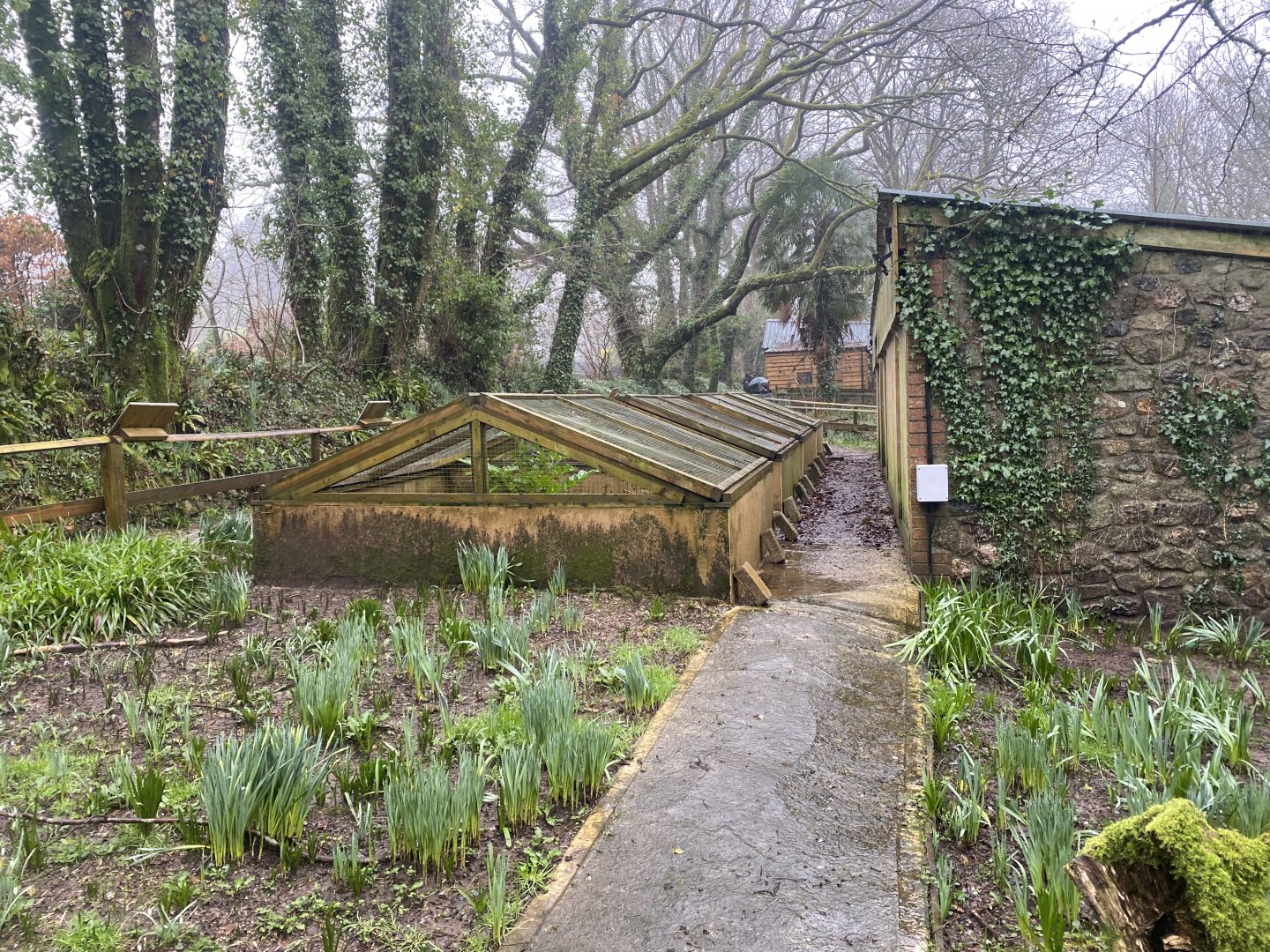 Hedgehog rehabilitation area 140224